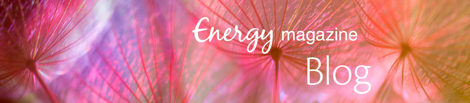 blog header 2
