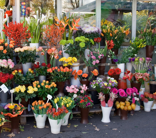 floral shop 500
