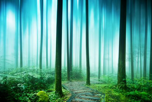 shutterstock 169037579 3