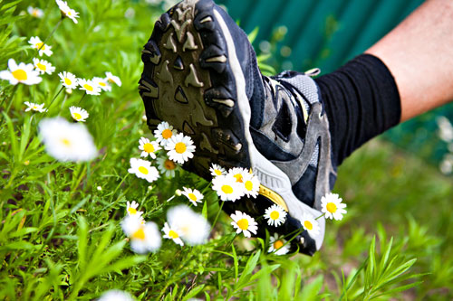 shutterstock 198405680 Karin